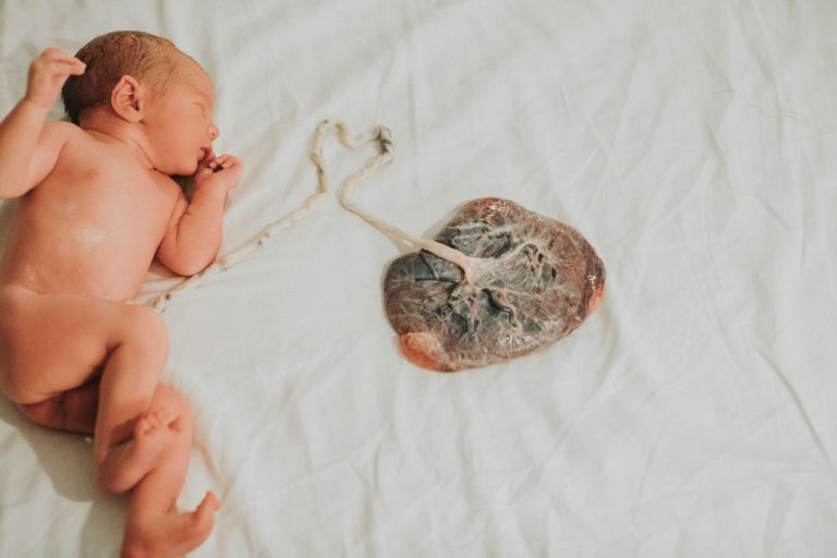 Le Placenta Au Delà De Laccouchement La Momlife 